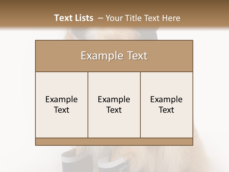 Tick On Skin PowerPoint Template