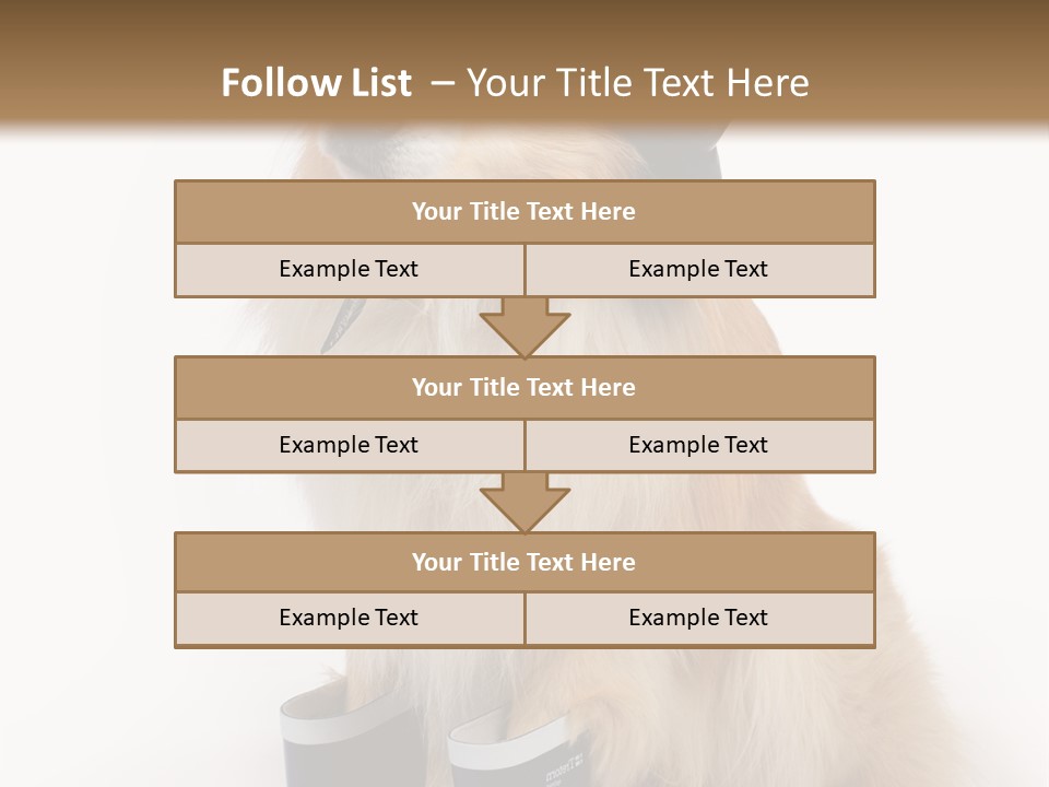 Tick On Skin PowerPoint Template