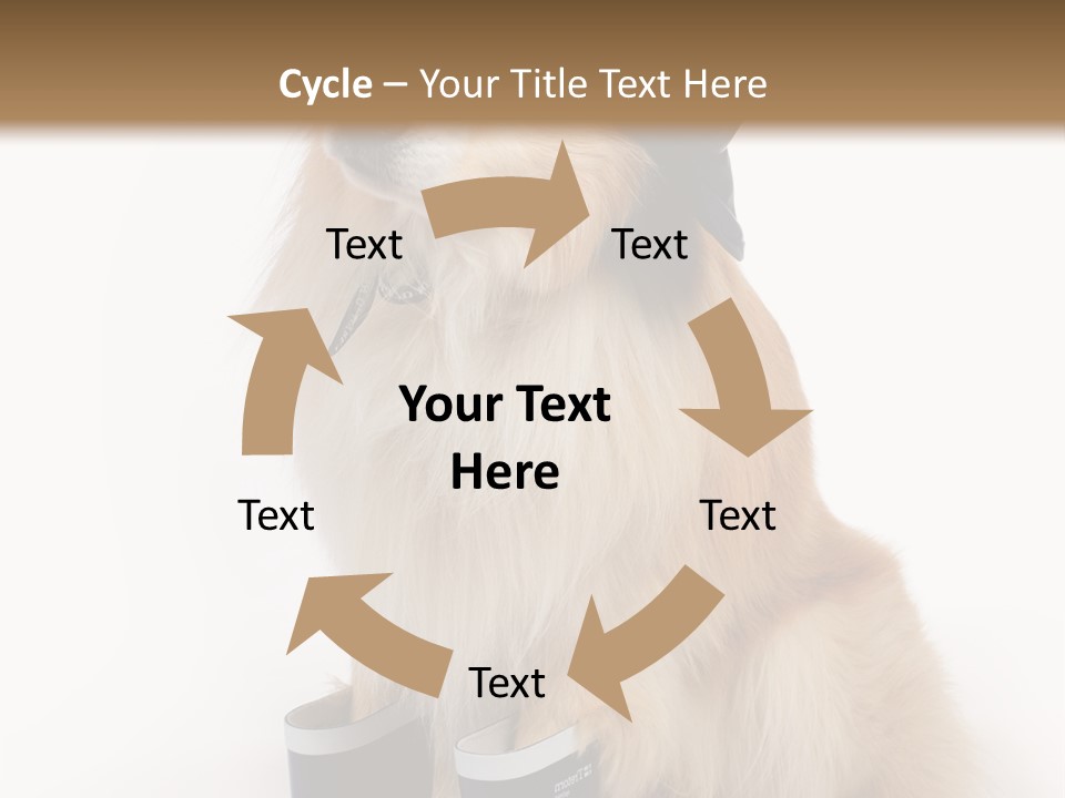 Tick On Skin PowerPoint Template