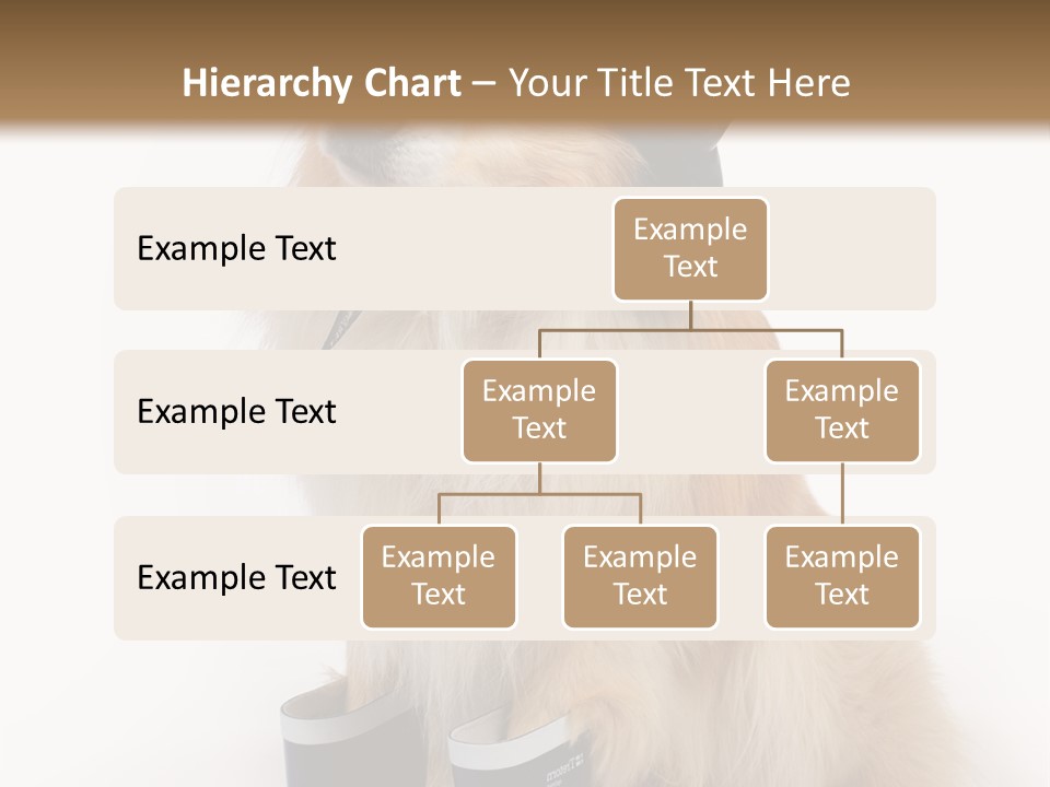 Tick On Skin PowerPoint Template