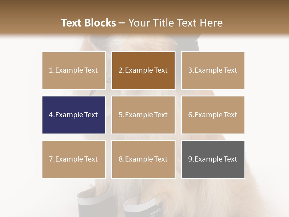 Tick On Skin PowerPoint Template