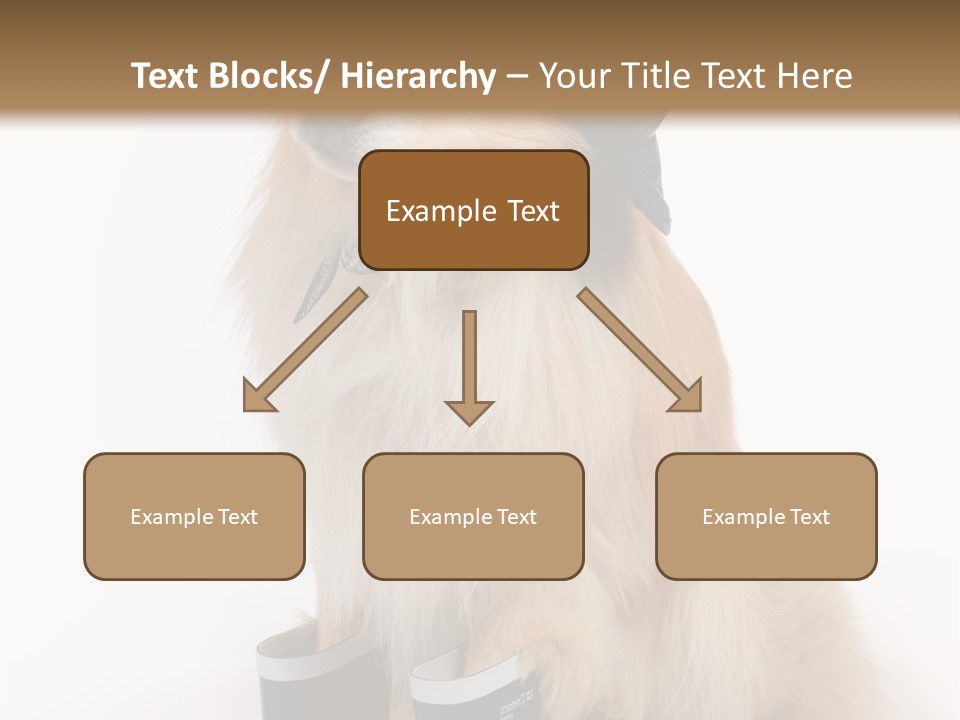 Tick On Skin PowerPoint Template