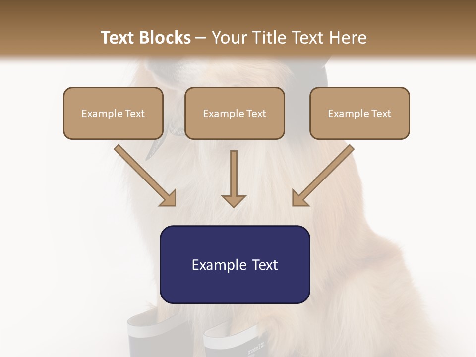 Tick On Skin PowerPoint Template