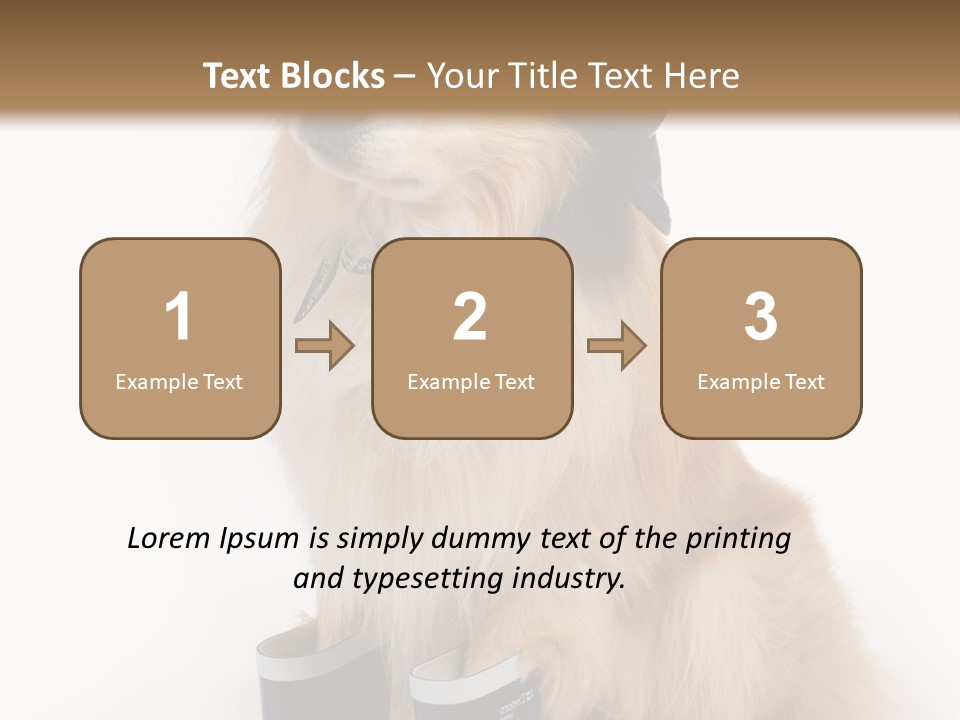 Tick On Skin PowerPoint Template
