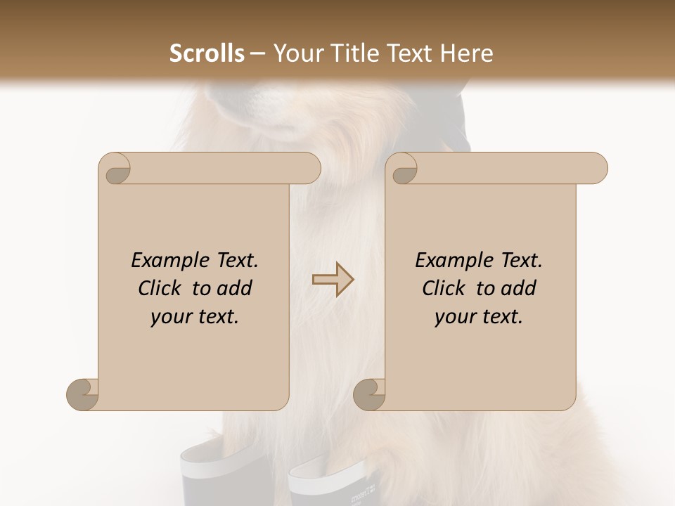 Tick On Skin PowerPoint Template
