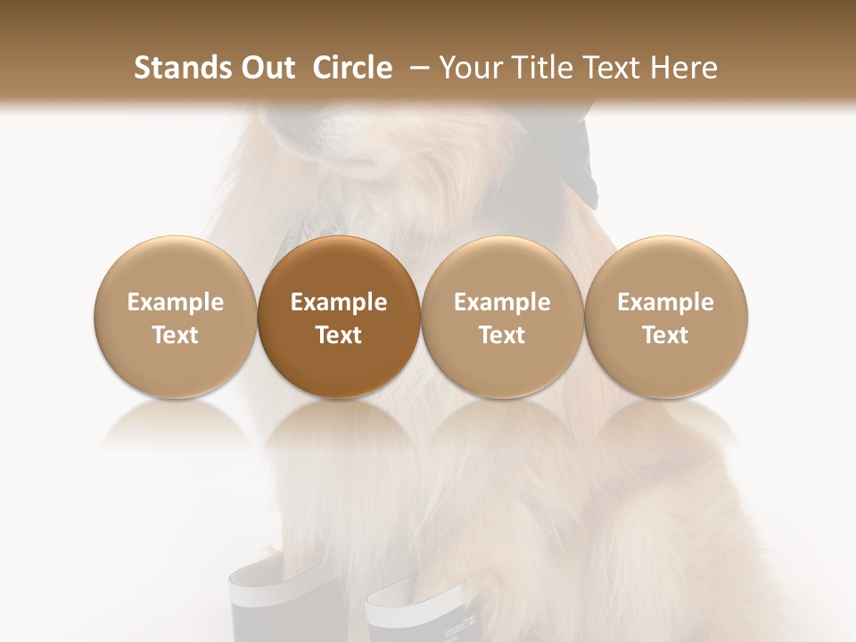 Tick On Skin PowerPoint Template