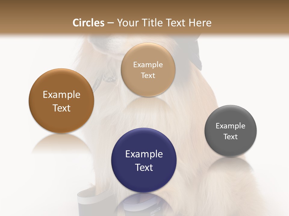 Tick On Skin PowerPoint Template