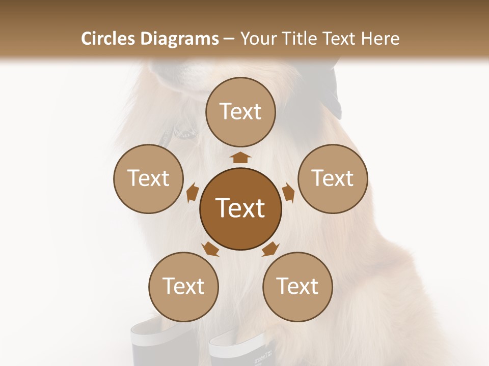 Tick On Skin PowerPoint Template