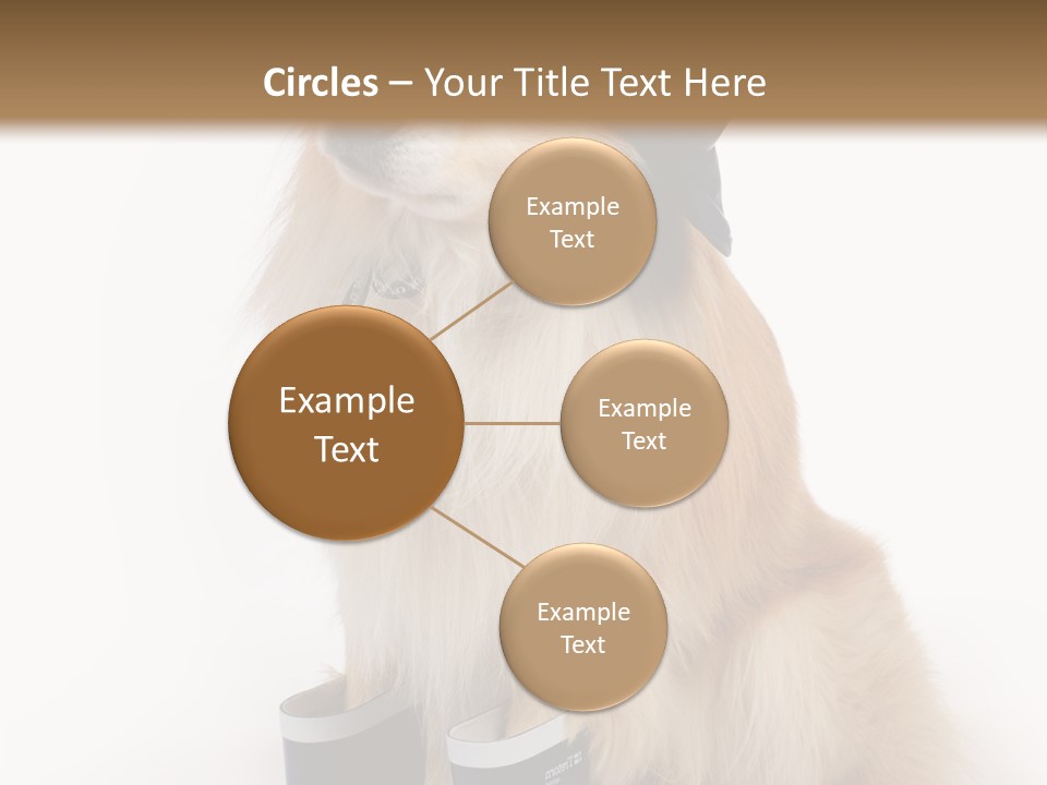 Tick On Skin PowerPoint Template