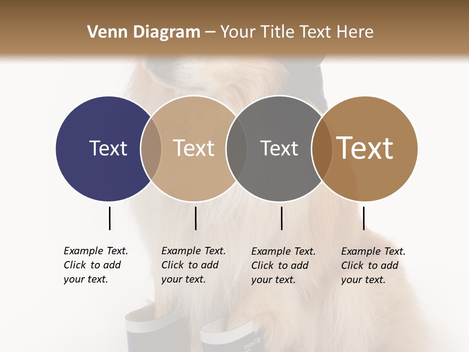 Tick On Skin PowerPoint Template