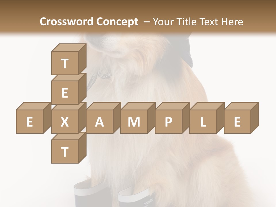 Tick On Skin PowerPoint Template