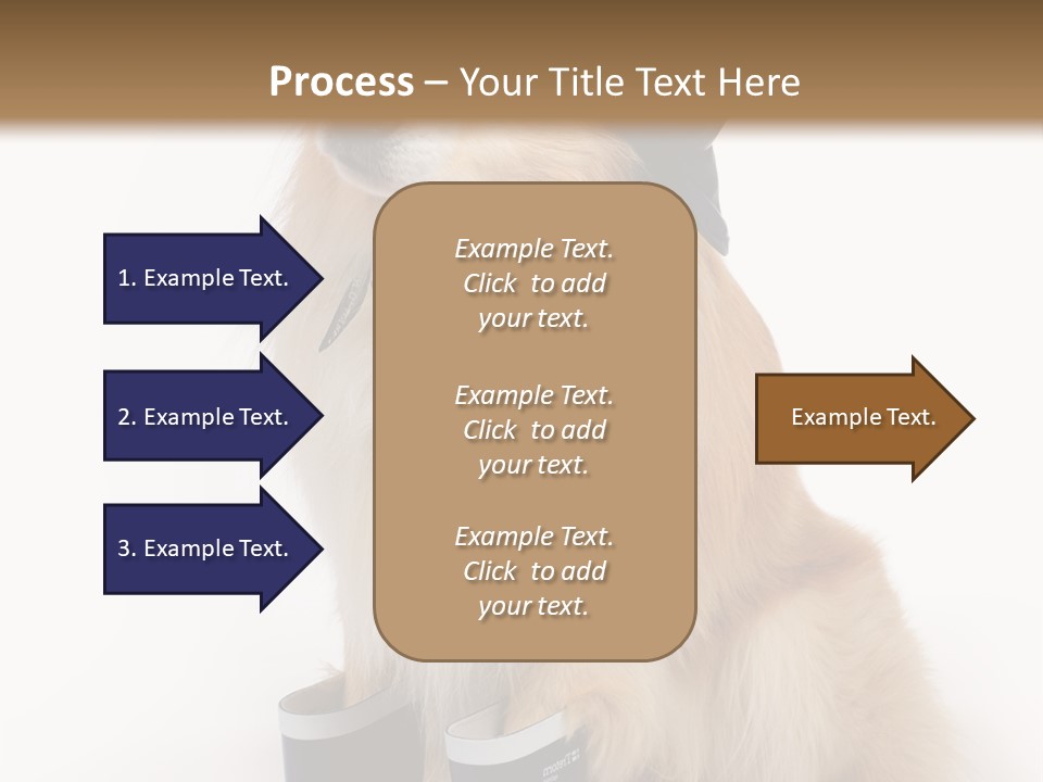 Tick On Skin PowerPoint Template