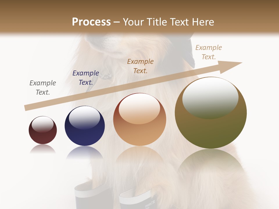 Tick On Skin PowerPoint Template