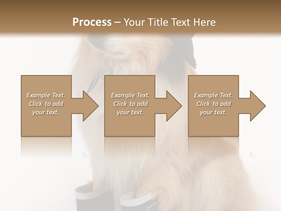 Tick On Skin PowerPoint Template