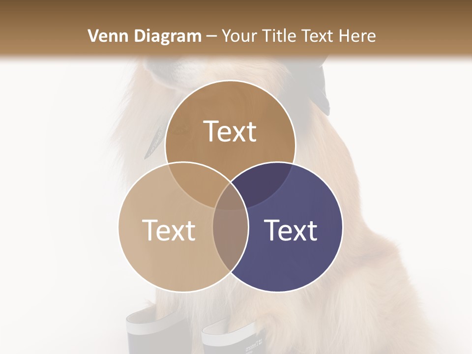 Tick On Skin PowerPoint Template