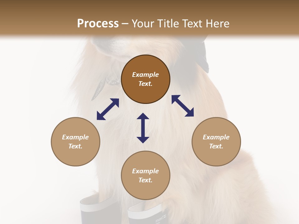 Tick On Skin PowerPoint Template