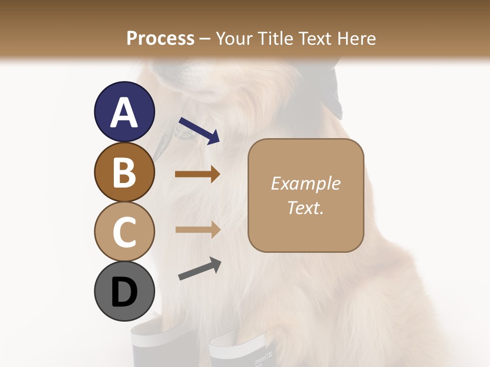 Tick On Skin PowerPoint Template
