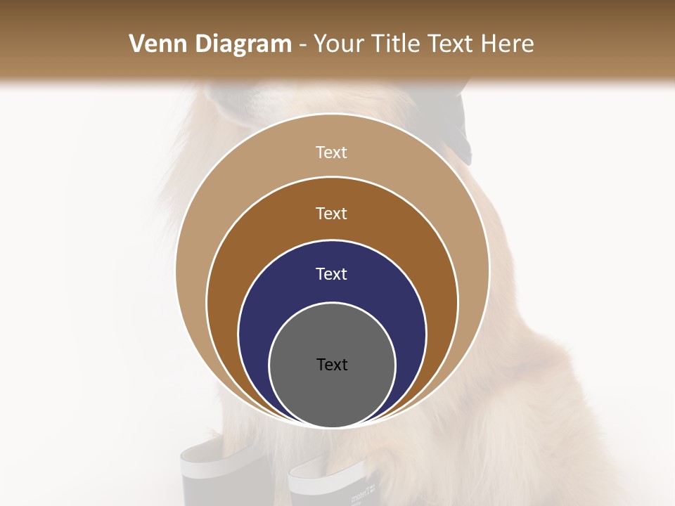 Tick On Skin PowerPoint Template