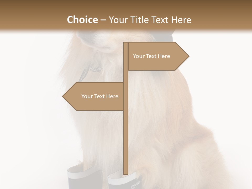 Tick On Skin PowerPoint Template