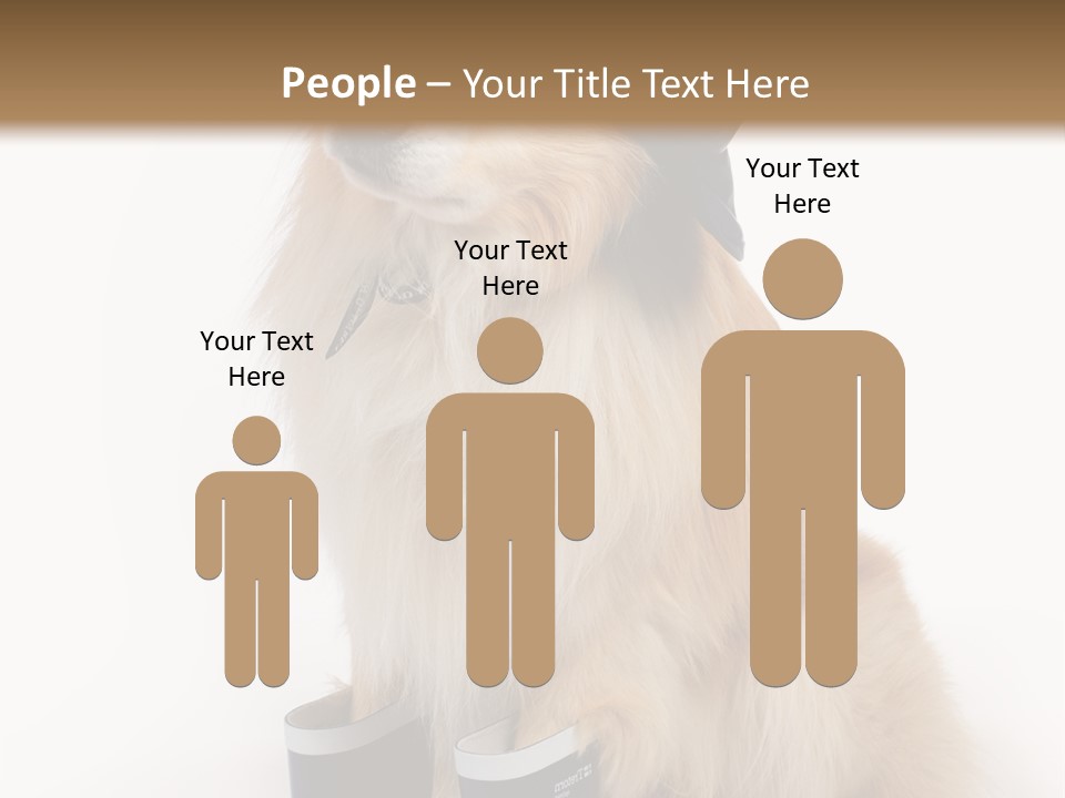 Tick On Skin PowerPoint Template