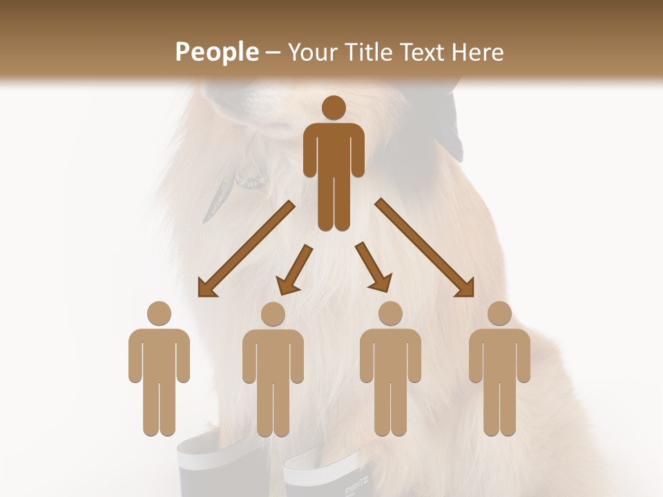 Tick On Skin PowerPoint Template