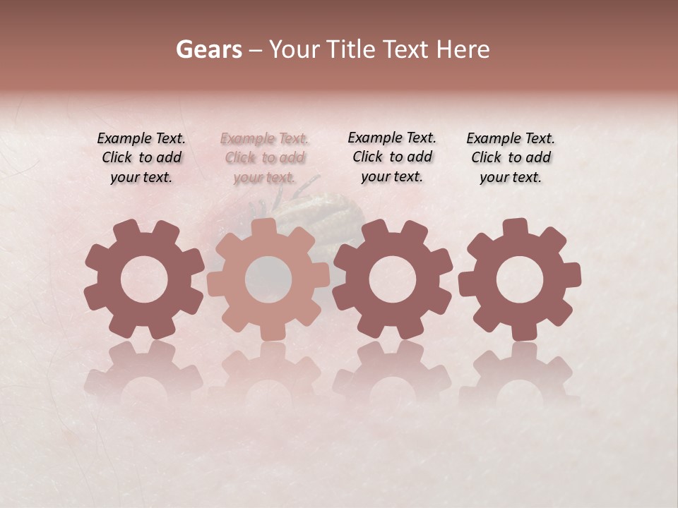 Tick On Skin PowerPoint Template