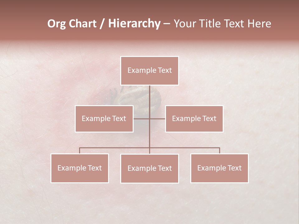 Tick On Skin PowerPoint Template
