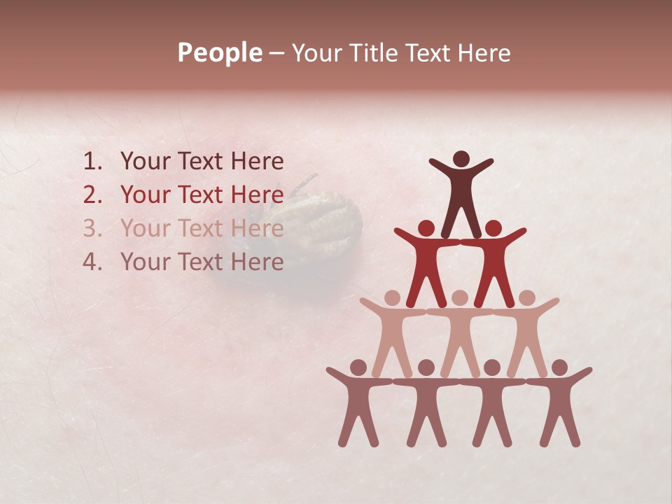 Tick On Skin PowerPoint Template