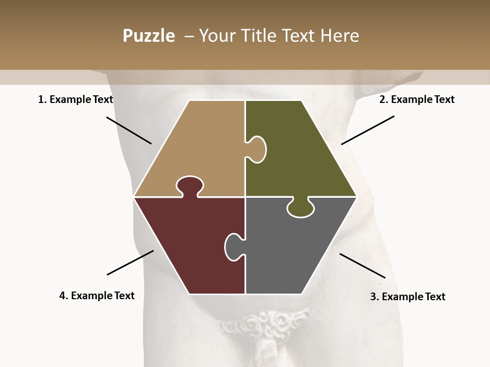 Marmoreal Torso Of The Italian Renaissance Age, Period Immediately Following The Middle Ages PowerPoint Template