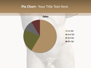 Marmoreal Torso Of The Italian Renaissance Age, Period Immediately Following The Middle Ages PowerPoint Template