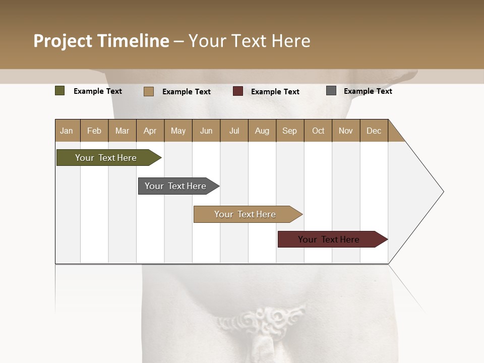 Marmoreal Torso Of The Italian Renaissance Age, Period Immediately Following The Middle Ages PowerPoint Template