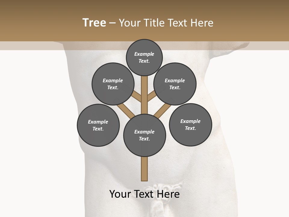 Marmoreal Torso Of The Italian Renaissance Age, Period Immediately Following The Middle Ages PowerPoint Template