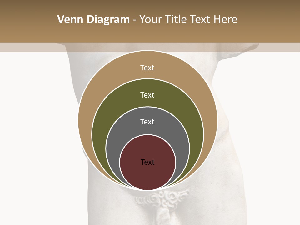 Marmoreal Torso Of The Italian Renaissance Age, Period Immediately Following The Middle Ages PowerPoint Template