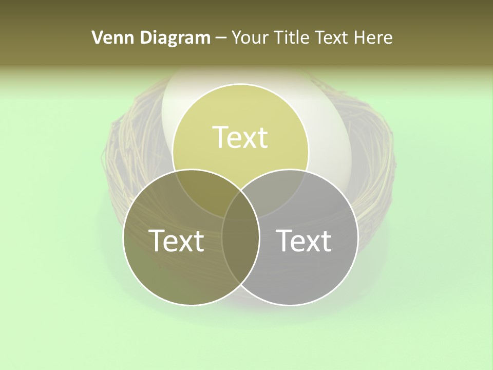 Nest And Egg On Green Background. PowerPoint Template