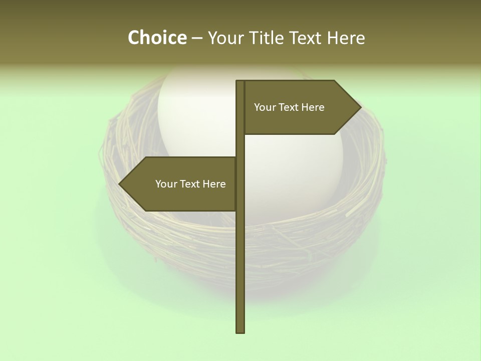 Nest And Egg On Green Background. PowerPoint Template