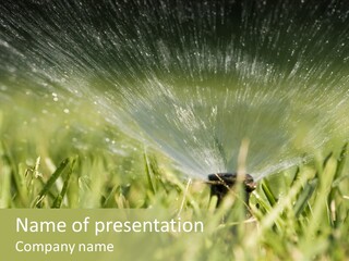 Water Splashing From A Sprinkler Hidden In The Grass. PowerPoint Template