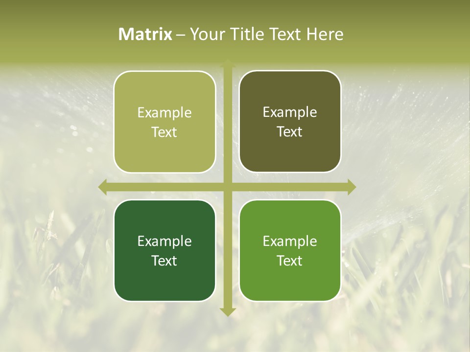 Water Splashing From A Sprinkler Hidden In The Grass. PowerPoint Template
