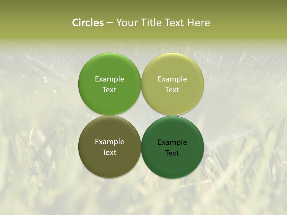Water Splashing From A Sprinkler Hidden In The Grass. PowerPoint Template