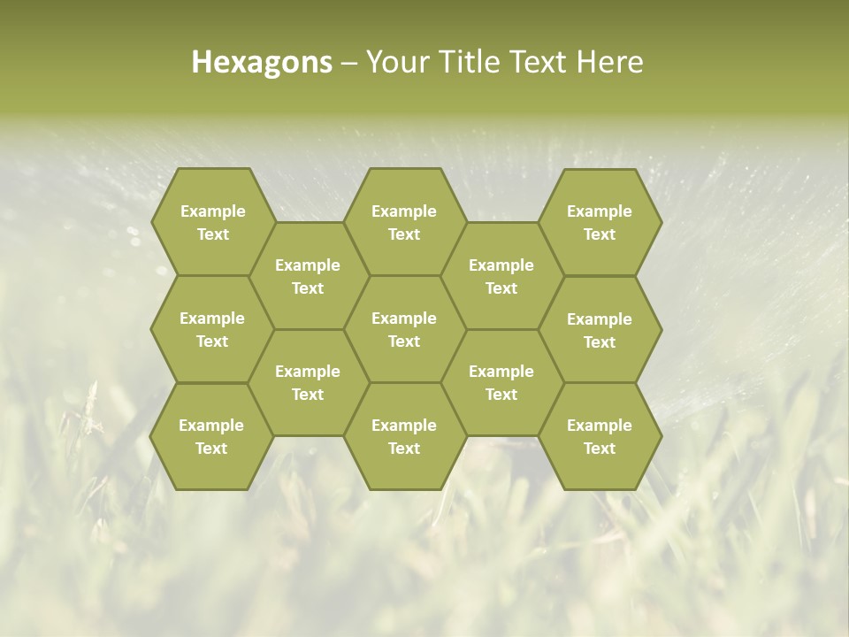 Water Splashing From A Sprinkler Hidden In The Grass. PowerPoint Template