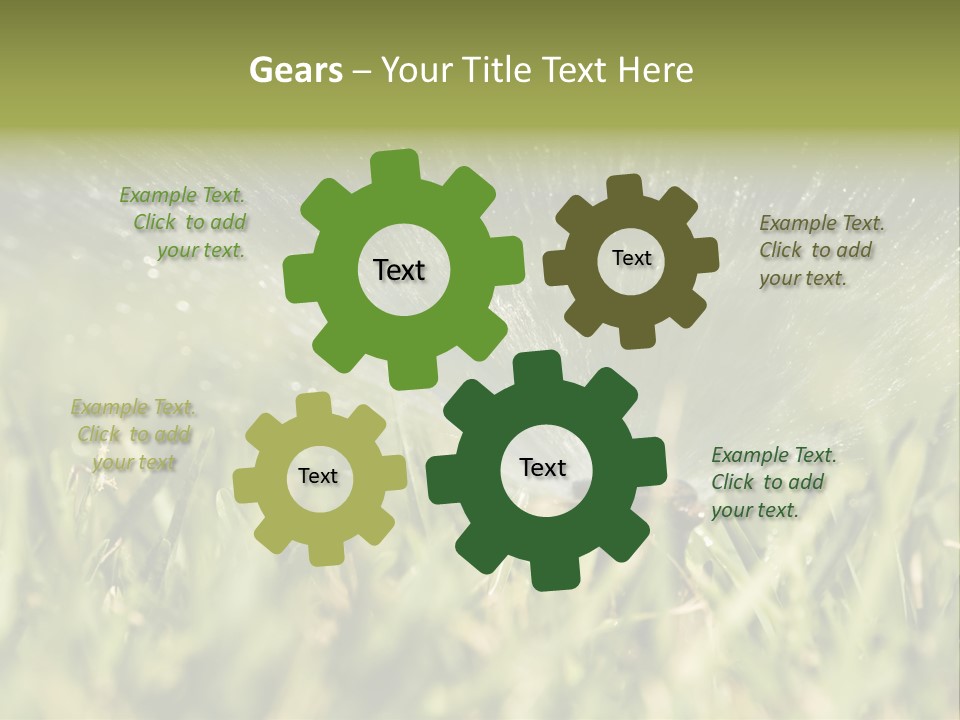 Water Splashing From A Sprinkler Hidden In The Grass. PowerPoint Template