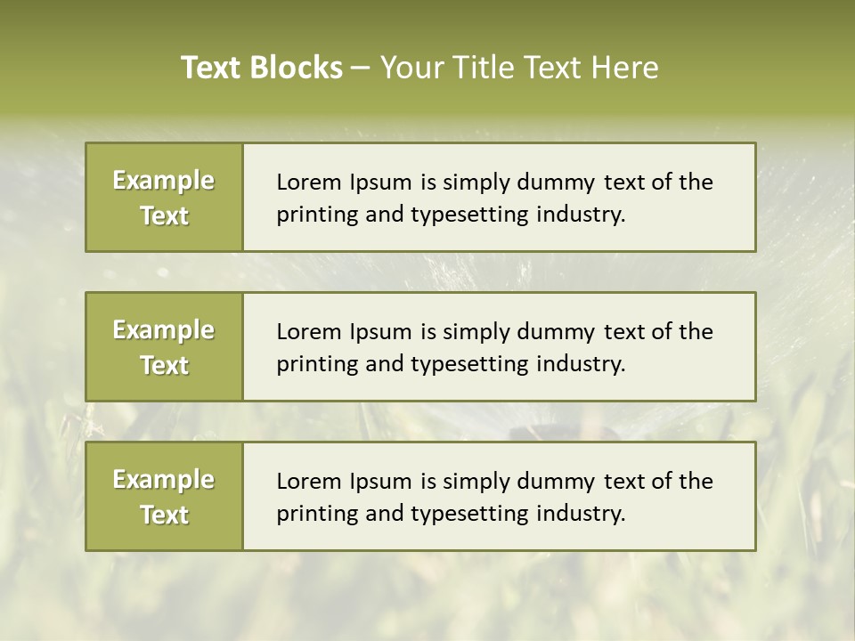 Water Splashing From A Sprinkler Hidden In The Grass. PowerPoint Template
