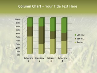 Water Splashing From A Sprinkler Hidden In The Grass. PowerPoint Template