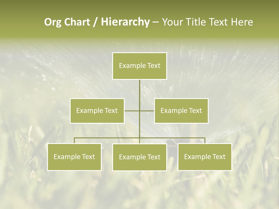 Water Splashing From A Sprinkler Hidden In The Grass. PowerPoint Template