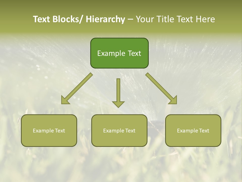 Water Splashing From A Sprinkler Hidden In The Grass. PowerPoint Template