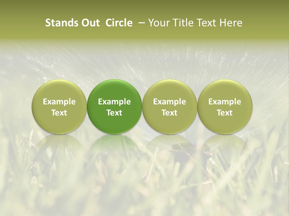 Water Splashing From A Sprinkler Hidden In The Grass. PowerPoint Template