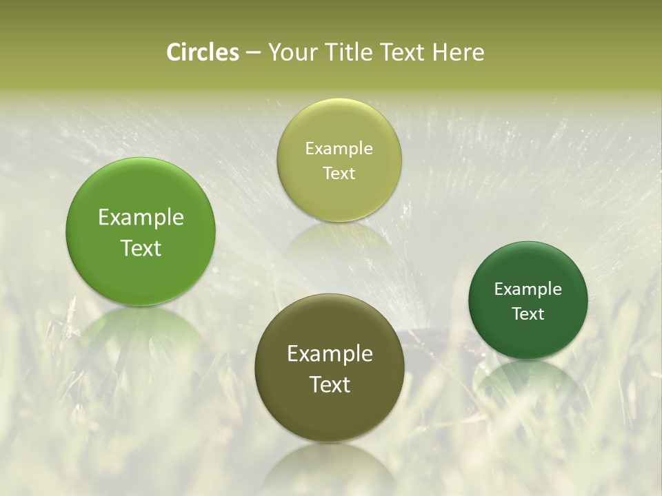 Water Splashing From A Sprinkler Hidden In The Grass. PowerPoint Template