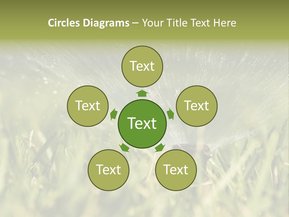 Water Splashing From A Sprinkler Hidden In The Grass. PowerPoint Template