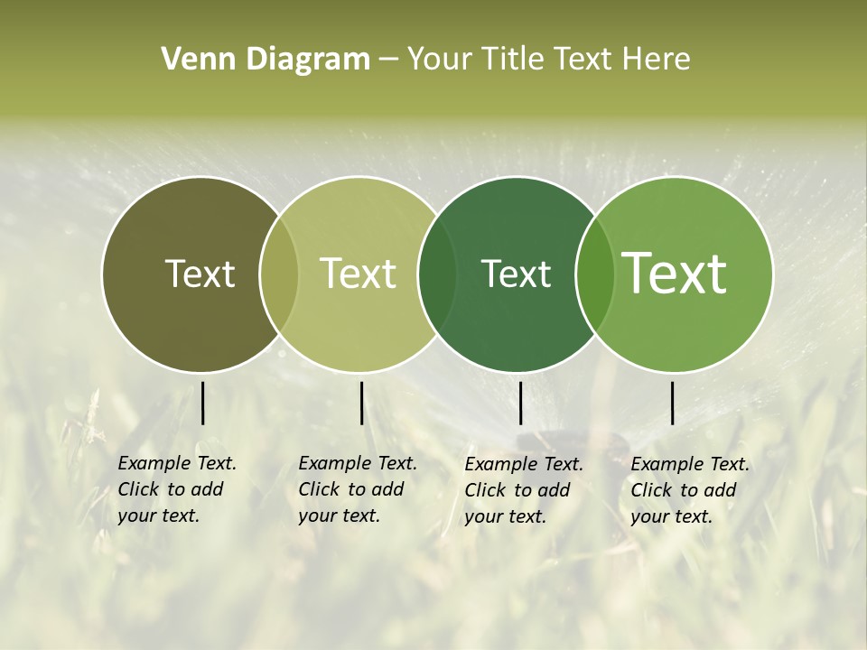 Water Splashing From A Sprinkler Hidden In The Grass. PowerPoint Template
