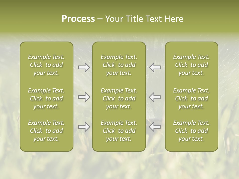 Water Splashing From A Sprinkler Hidden In The Grass. PowerPoint Template