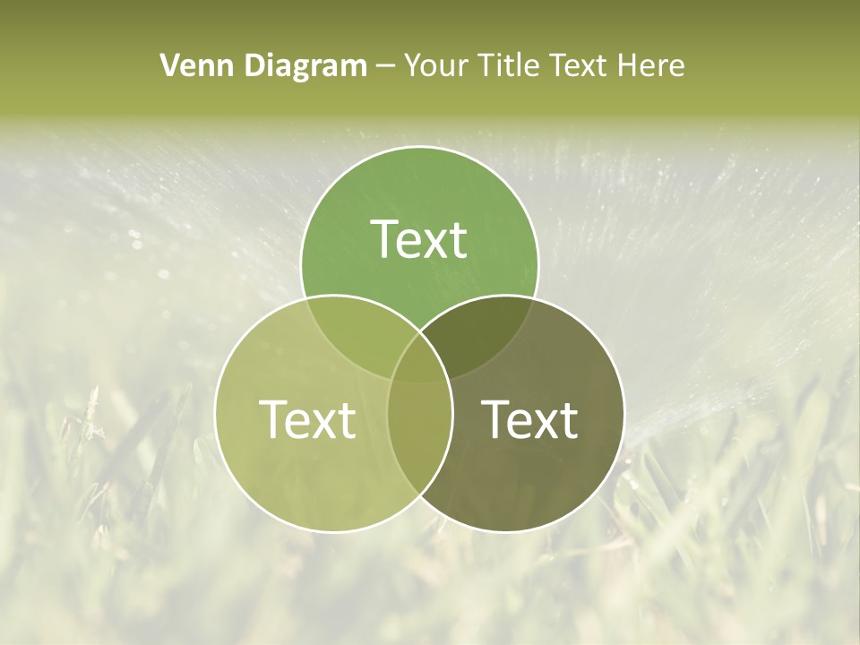 Water Splashing From A Sprinkler Hidden In The Grass. PowerPoint Template